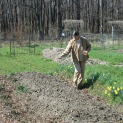 Homegrown Flax And Cotton 8 Homegrown Flax And Cotton -BEKA Sales Store B9780811772198b 80029.1688737399