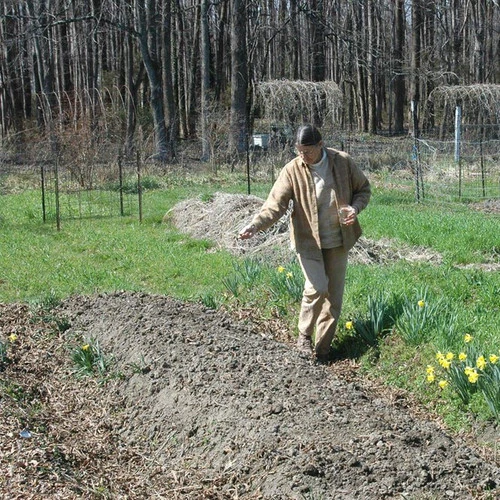 Homegrown Flax And Cotton 2 Homegrown Flax And Cotton - Image 2