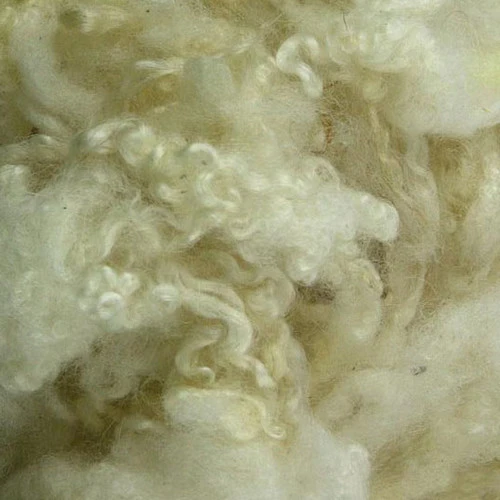 Scoured Bluefaced Leicester Fleece 1 Scoured Bluefaced Leicester Fleece