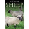 Sheep -BEKA Sales Store b9781846943812 60952.1557240897