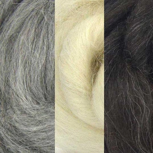 Icelandic Top 1 Icelandic Top