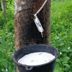 Saddle Seat Stool -BEKA Sales Store rubber tree tapping square 11105.1543861201